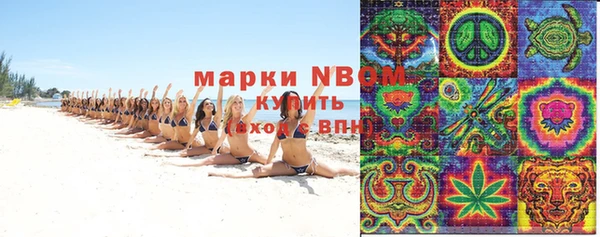 амф Ладушкин