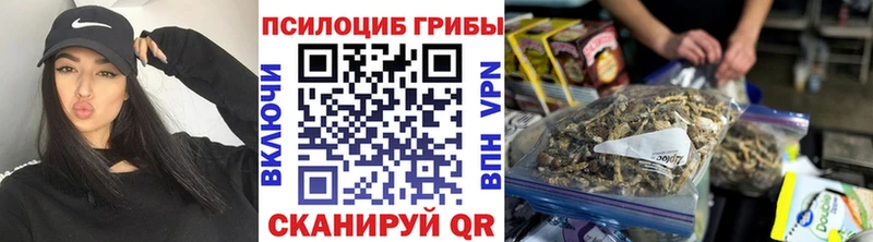 блэк спрут tor  Элиста  Галлюциногенные грибы Psilocybe 