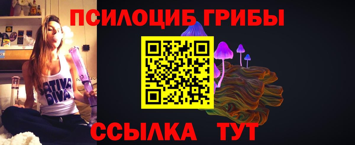 Галлюциногенные грибы MAGIC MUSHROOMS  Псилоцибиновые грибы Cubensis  Вход с VPN  Элиста 