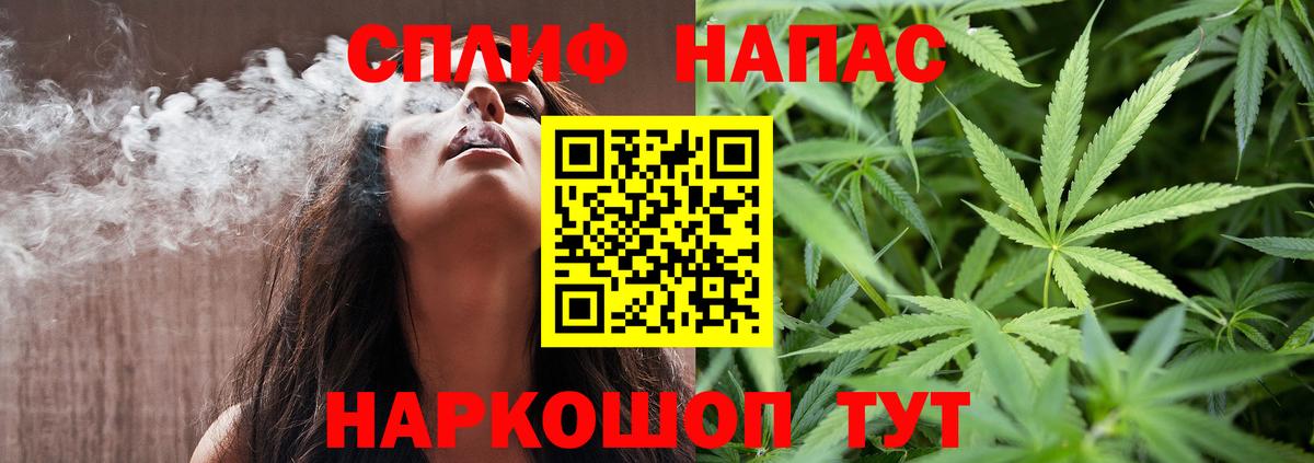 Каннабис сатива Элиста